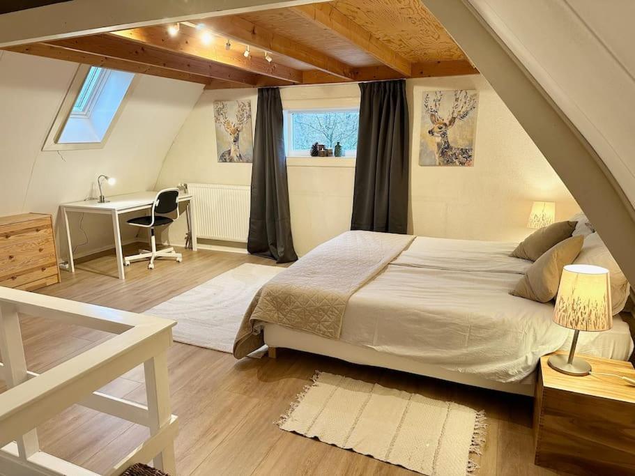 Charming Villa,central Location,train And Bus Nearby
